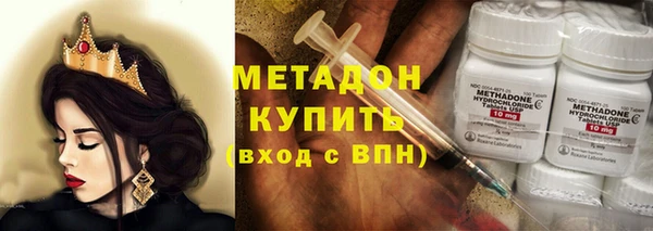 хмурый Аркадак