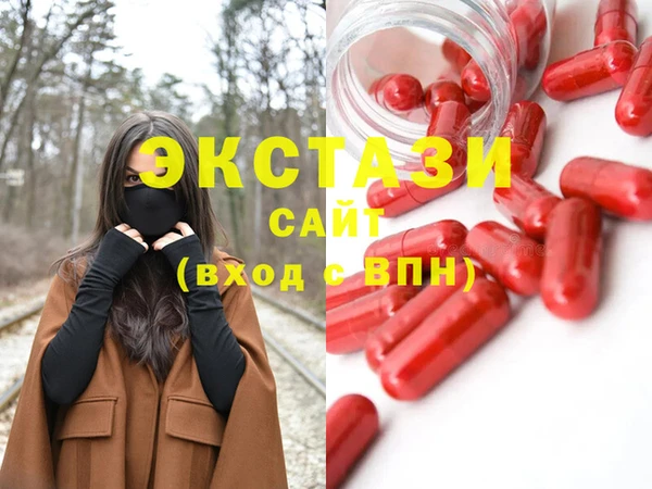 хмурый Аркадак
