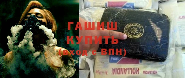хмурый Аркадак
